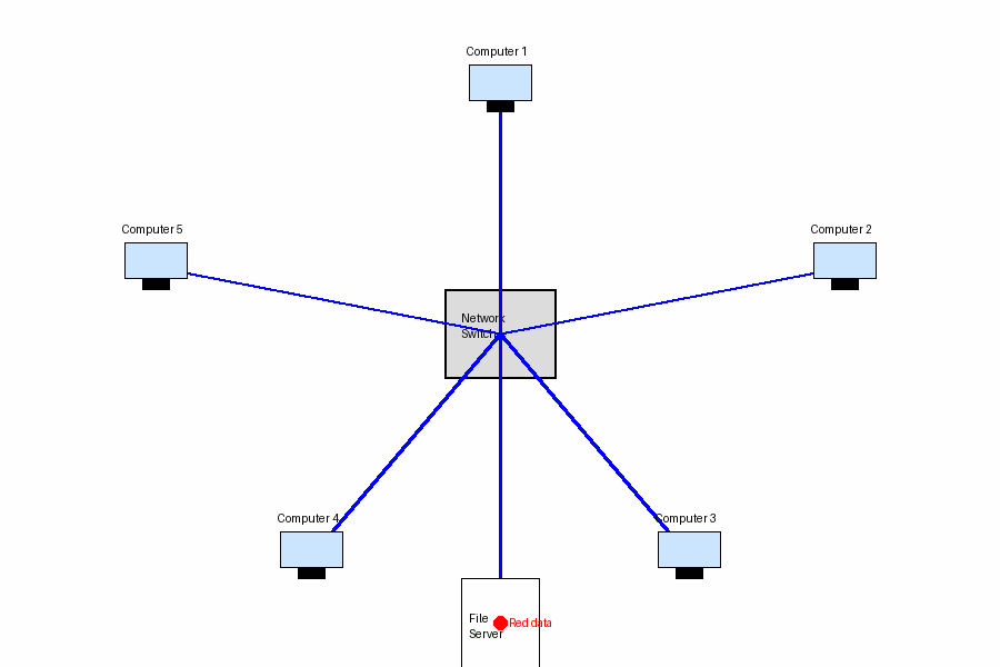 Star network with file server